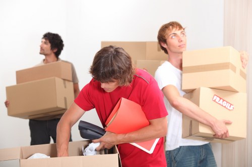 Organised packing and labelled boxes for a smooth move