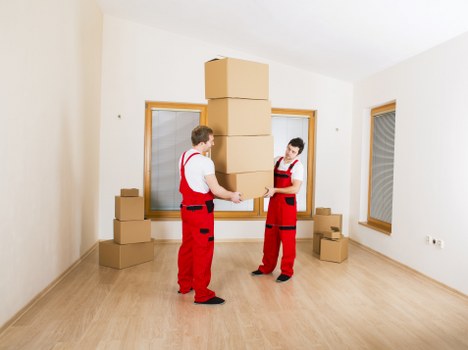 Affordable student storage options in Collierswood